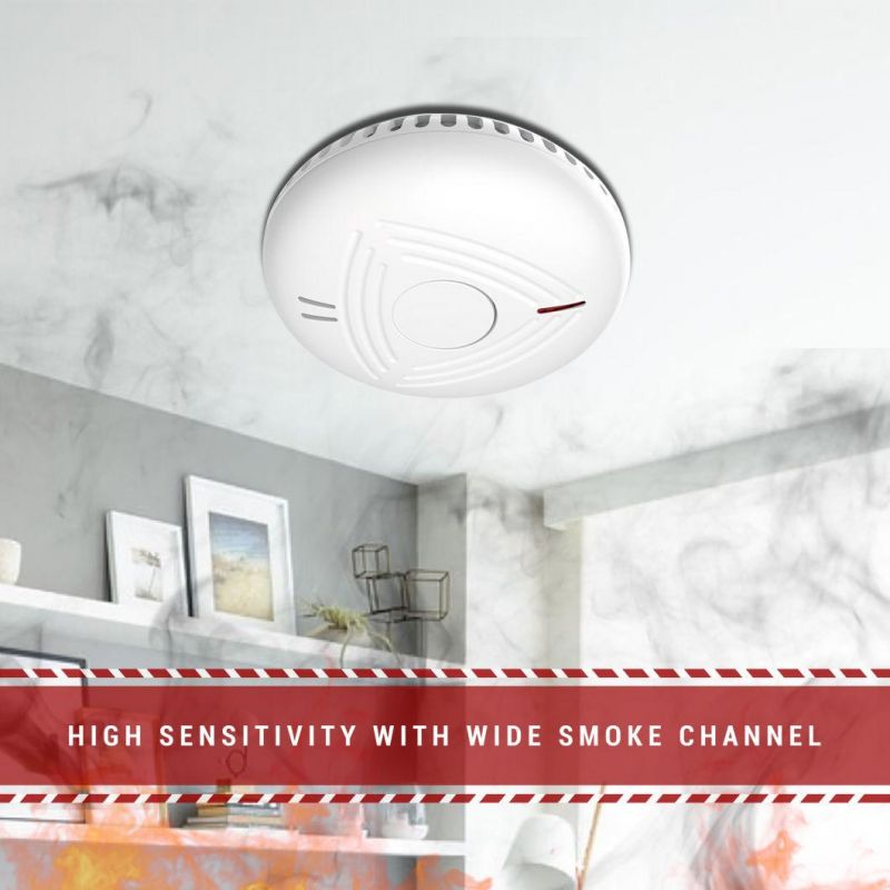 Co Detector and Photo Electronic Smoke Sensor Gas Analysis CE as Independent Photo Electronic Smoke and Co Detector and Alarm