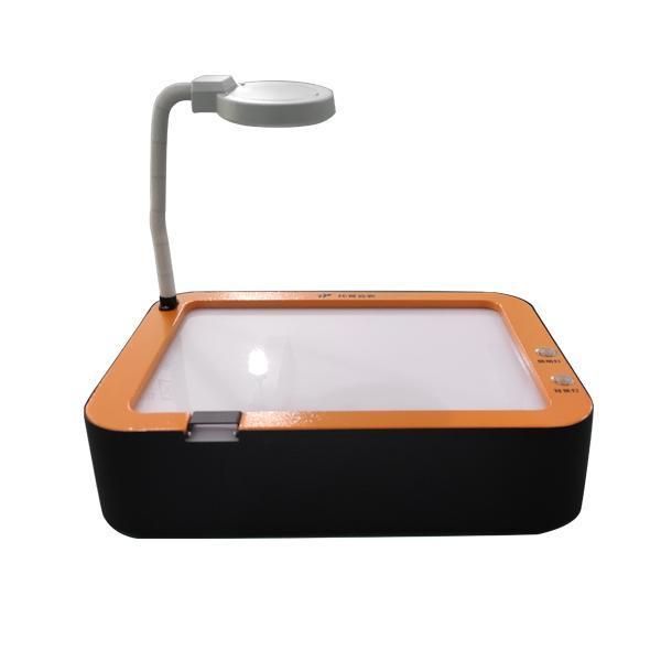 Portable Workbench with Easy Observe Seeds Seedlings Plant