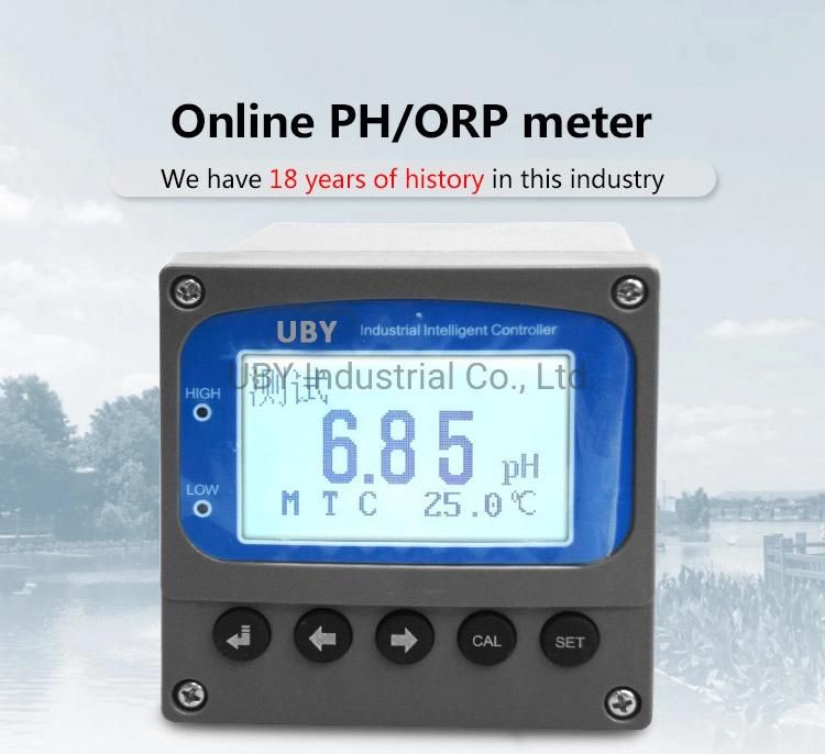 Online ORP Electrode Swimming Pool pH Sensor and ORP Controller System