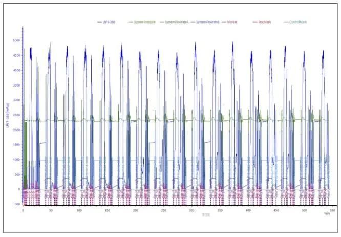 Custom DNA Oligos Synthesis System