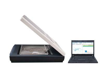 Plant Roots Morphology Phenotype Analysis System