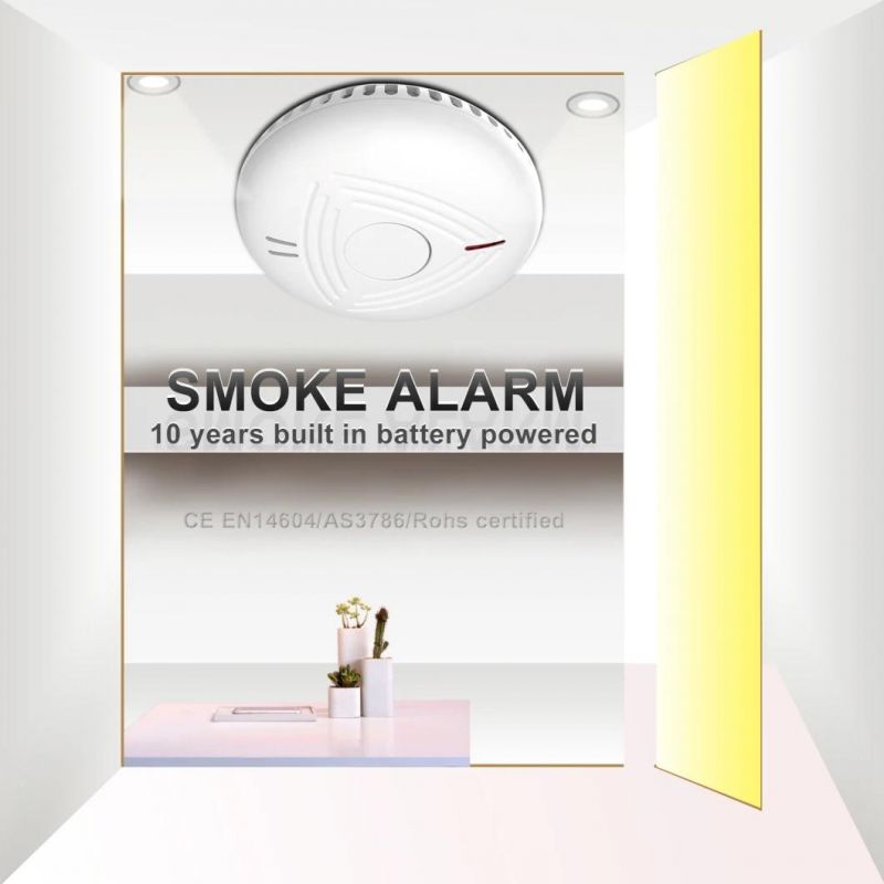 Co Detector and Photo Electronic Smoke Sensor Gas Analysis CE as Independent Photo Electronic Smoke and Co Alarm and Co Meter