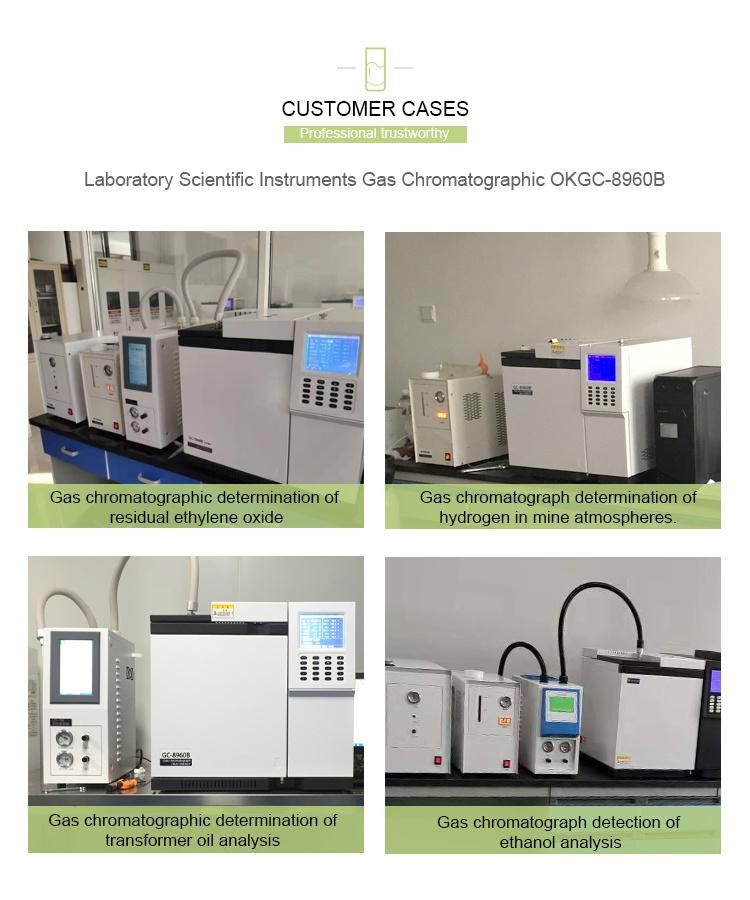 Guaranteed Quality High Accuracy Lab Tcd/Fid/Fpd/Ecd Industrial Gas Chromatograph Analyzer