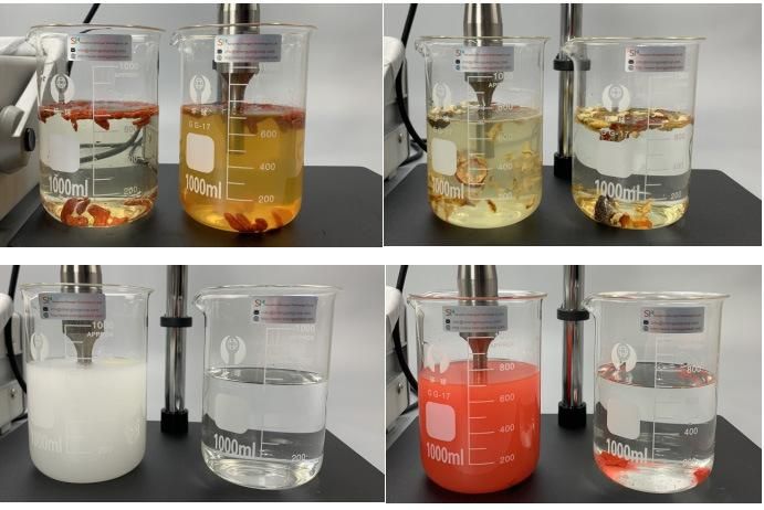 Simple And Fast Ultrasonic Homogenizer For Plant Extraction