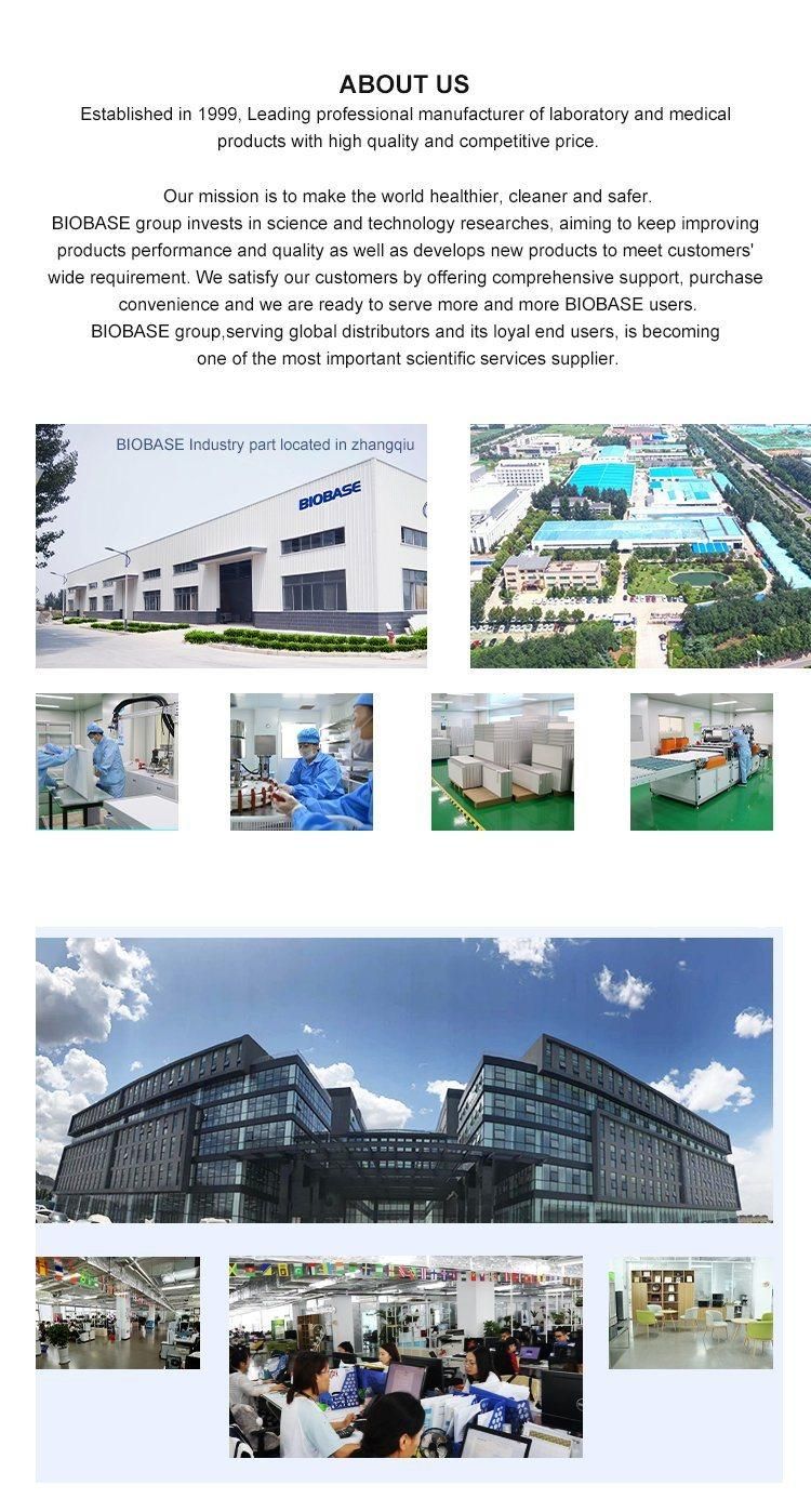 Biobase China Vertical Electrophoresis Tank Gel Electrophoresis for Laboratory Price