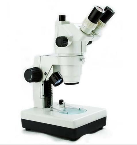 Price of Digital Setting Microscope