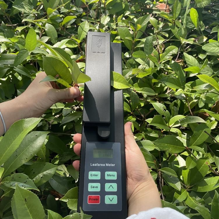 Ymj-B Portable Leaf Area Meter