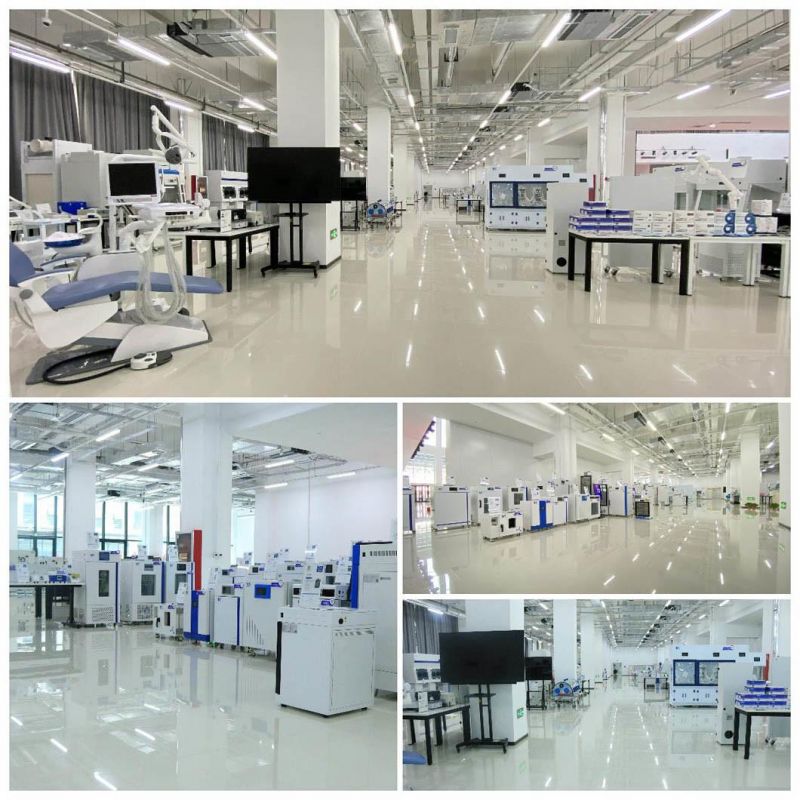 China Biobase Vertical Type Electrophoresis Equipment Electrophoresis