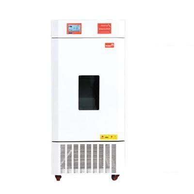 Laboratory Equipment Biochemical/Mould Incubator