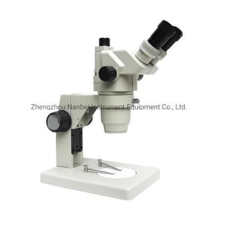 Price of Digital Cheap Electron Microscope