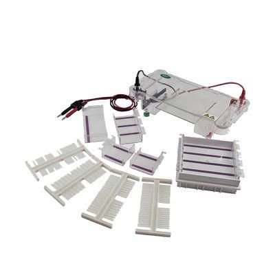 Biobase Gel DNA Rna Protein Horizontal Electrophoresis Tank