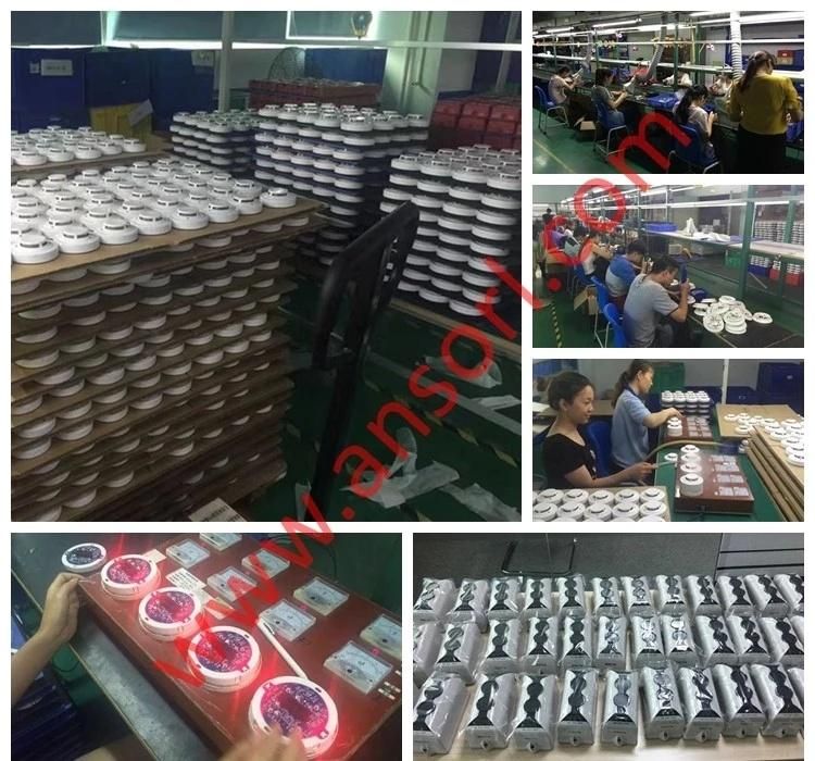 Digital Display Industrial Gas Leak Detector With Relay Outputs
