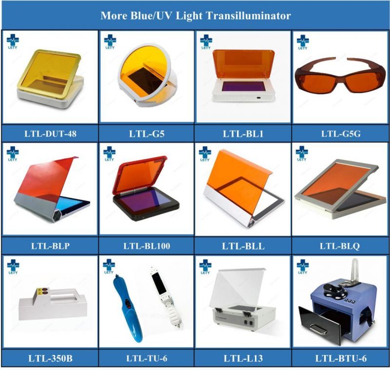 High Quality UV Transilluminators for Laboratory 254nm 302nm 365nm Wavelength Optional for DNA or Rna Gel