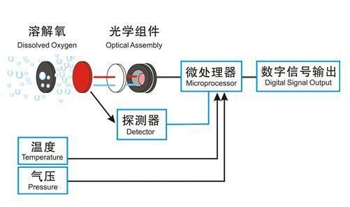 Oxygen Membrane Cap