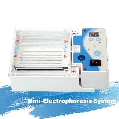 Mini Electrophoresis System DNA and Rna Electrophoresis