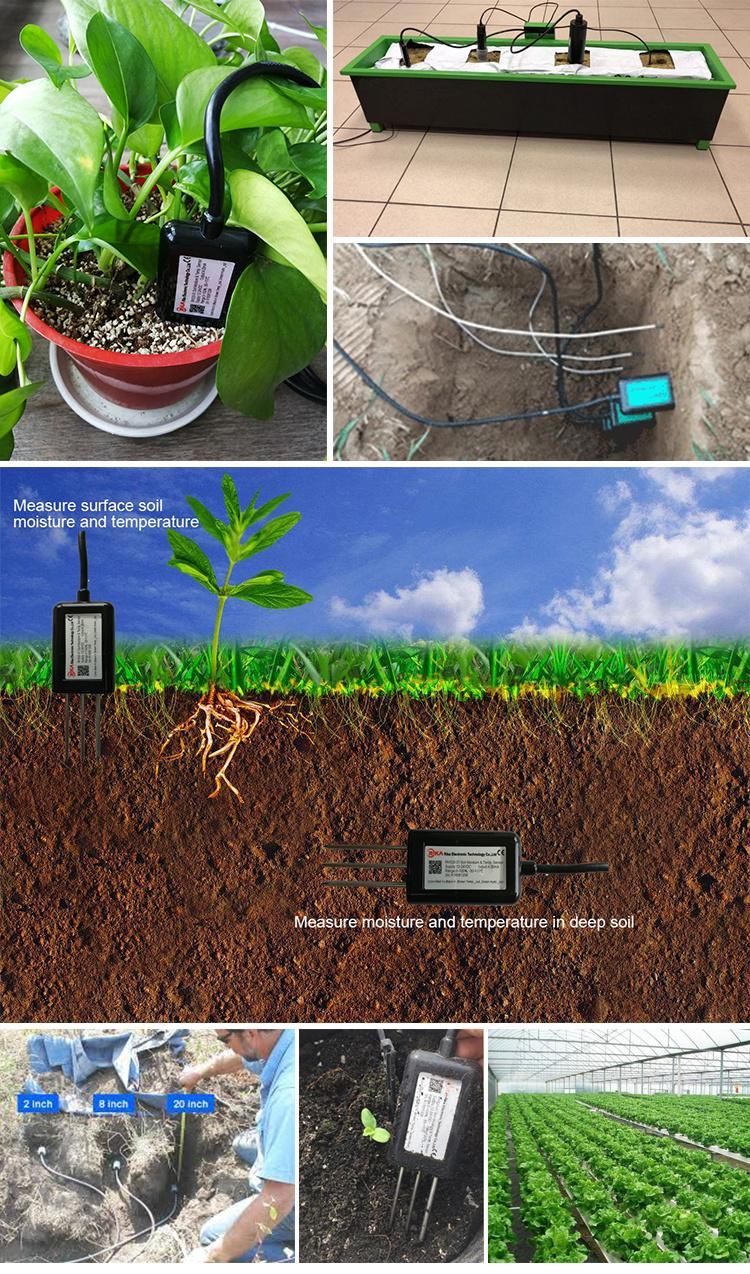 Electrochemistry Principle 4-20mA RS485 Output 304ss Soil pH Meter Sensor for Agriculture