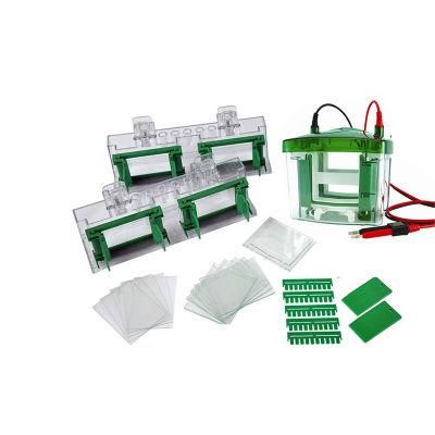 Biobase High-Purity High-Transparency Lab Vertical Electrophoresis Tank