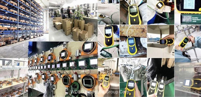 N2 Nh3 C2h4 Hydrocarbon Eto Gas Leak Analyzer with Alarm