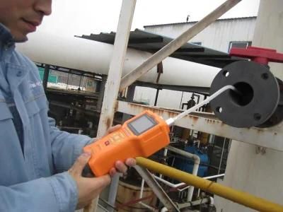 Portable Multi-Gas Detector for O2, Ex, Co, H2s