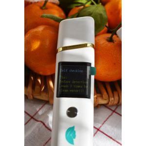 Health High-Tech Fruits and Vegetables Pesticide Residue Detector